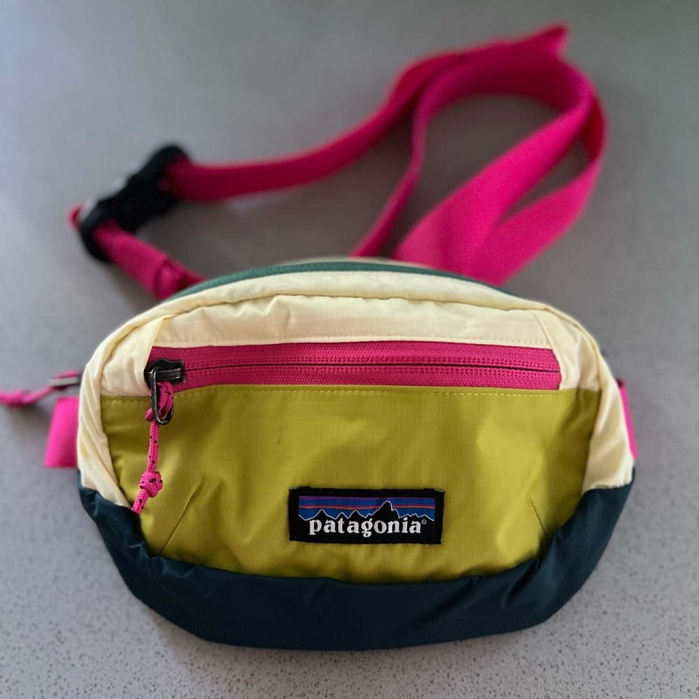 Patagonia Terravia Mini Hip Pack 1L